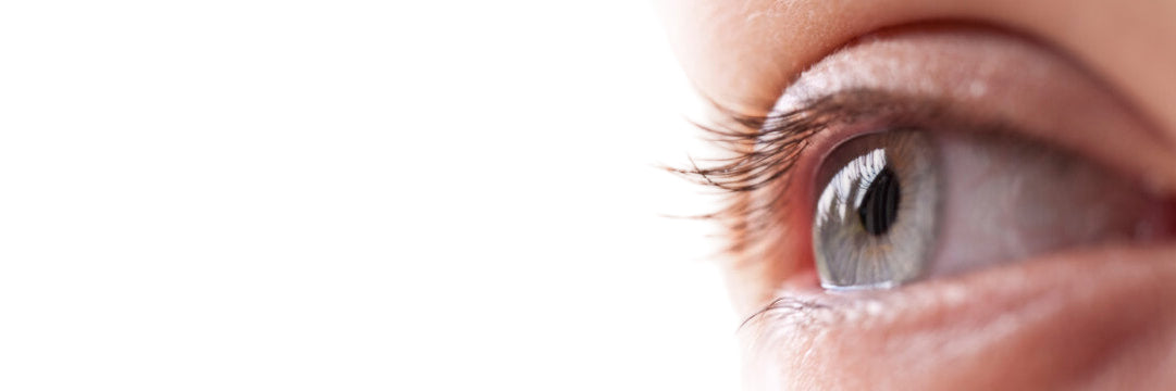 Close-up of a person's eye with a blurred white background